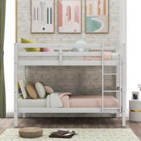 win Over Twin Bunk Bed with Ladder (Color: White)